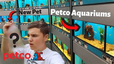 Petco Fish. Petco Bird. Petco Dog. 5 gallons. 8.5"L X 8.5"W X 15"H. Heavy-duty bucket and lid offer a variety of uses, both aquatic & non-aquatic. Features a sturdy metal handle & plastic grip for carrying.